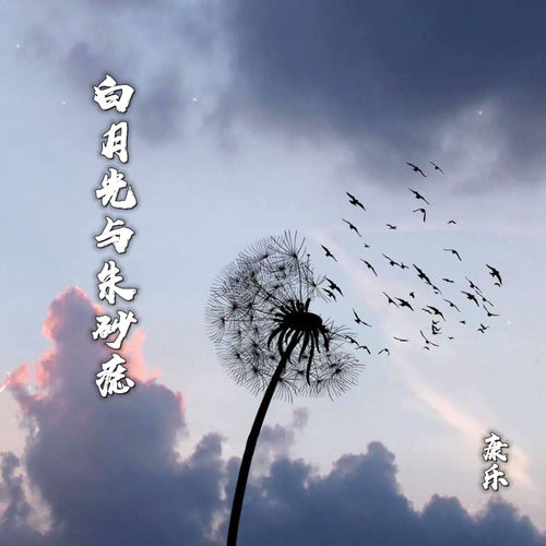 白月光与朱砂痣