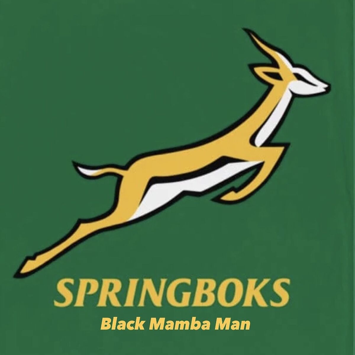 Album cover of Springboks