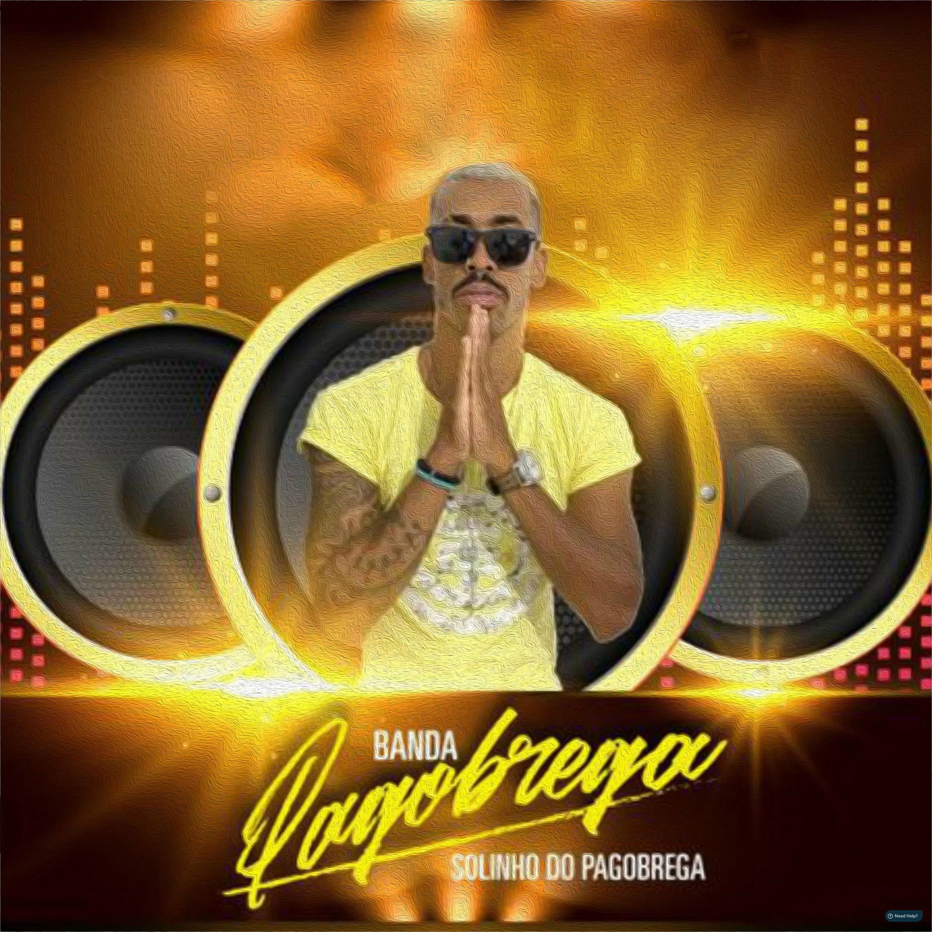 Album cover of Solinho do Pagobrega