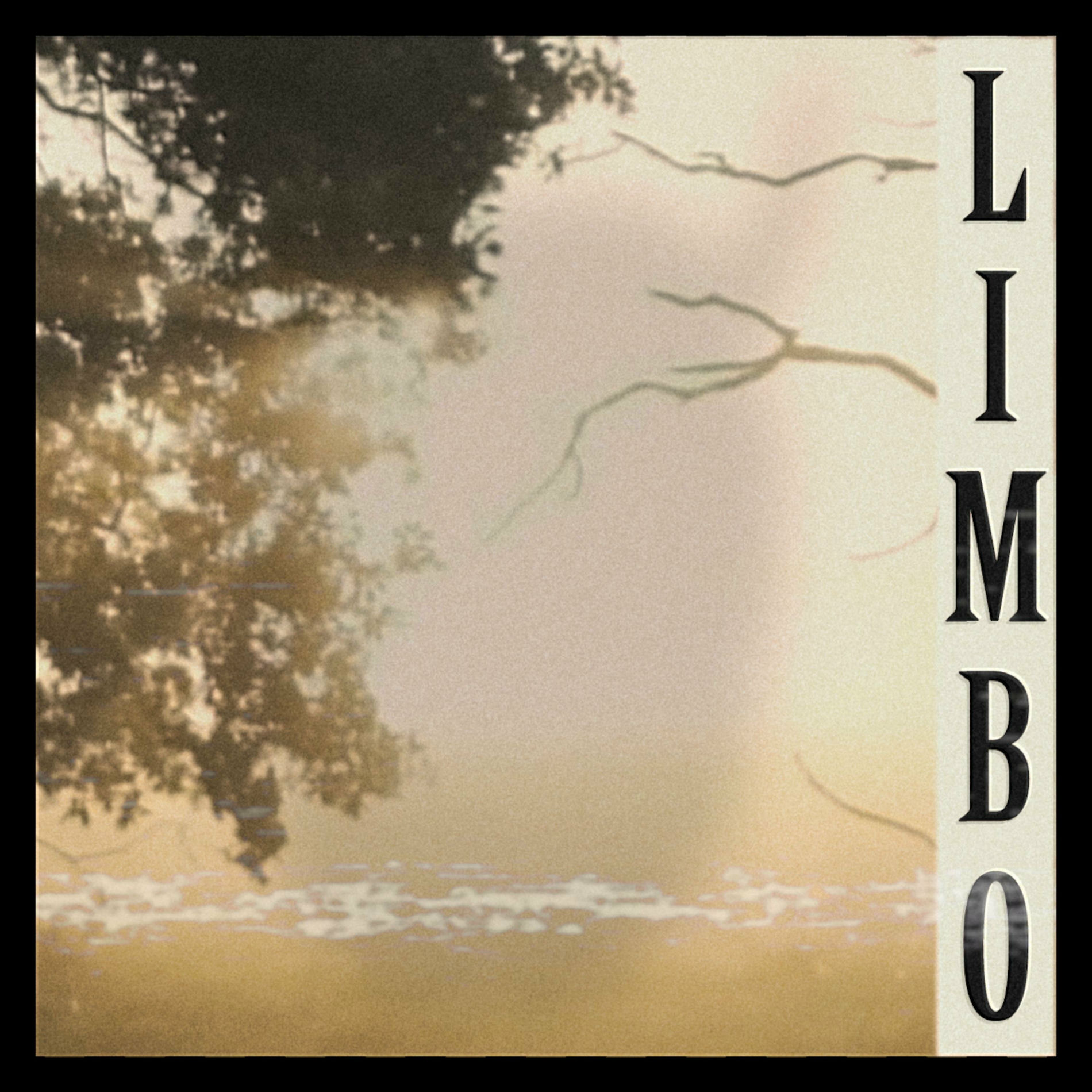 Album cover of Limbo