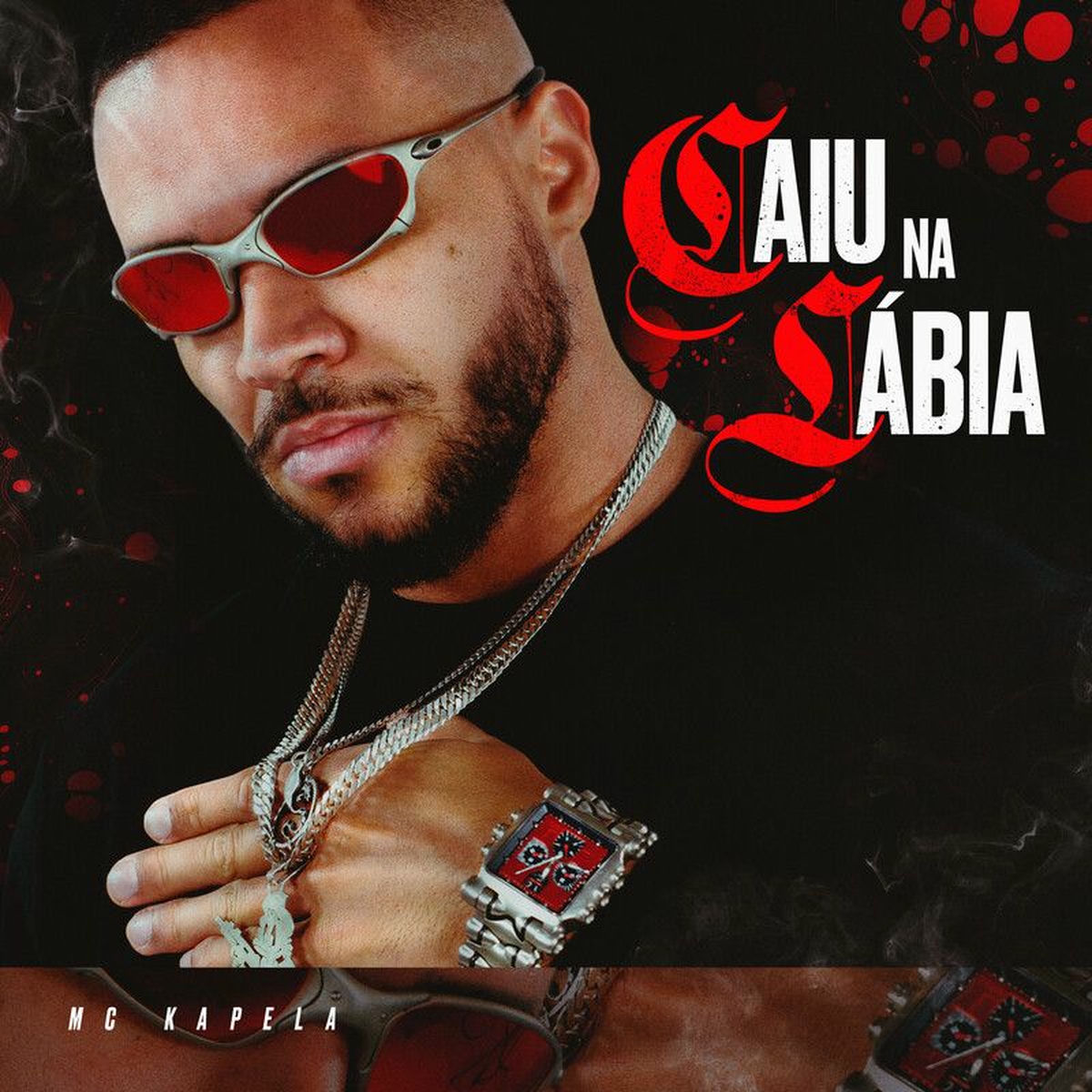 Album cover of Caiu Na Lábia