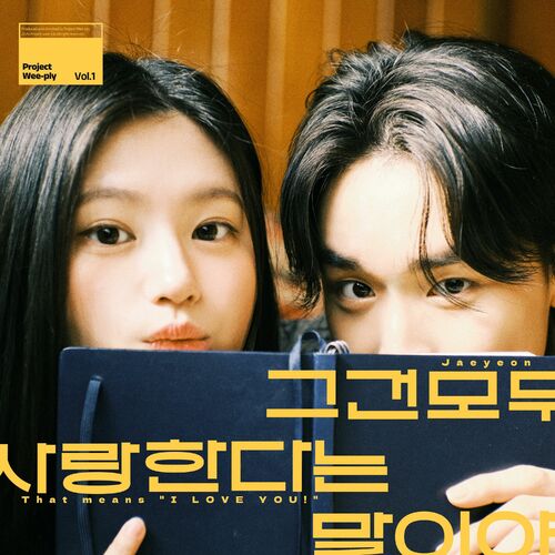 Jae Yeon – 그건 모두 사랑한다는 말이야 – Single