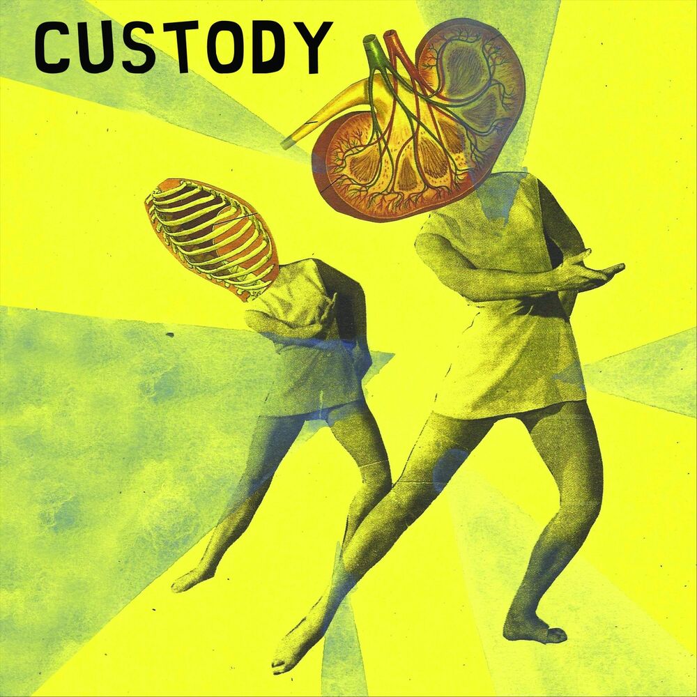 Picture of Custody