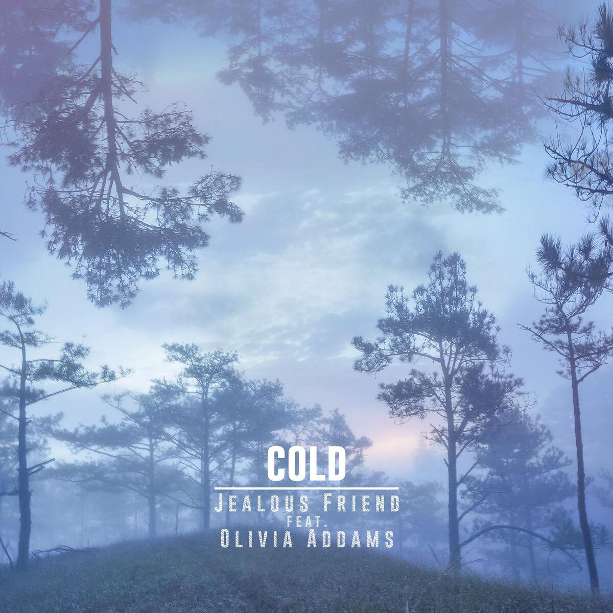Album cover of Cold (feat. Olivia Addams)