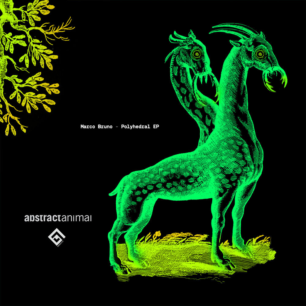 Picture of Polyhedral EP