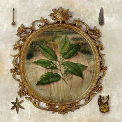 Cover of Jester