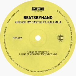 Cover of King Of My Castle (feat. Kali Mija)