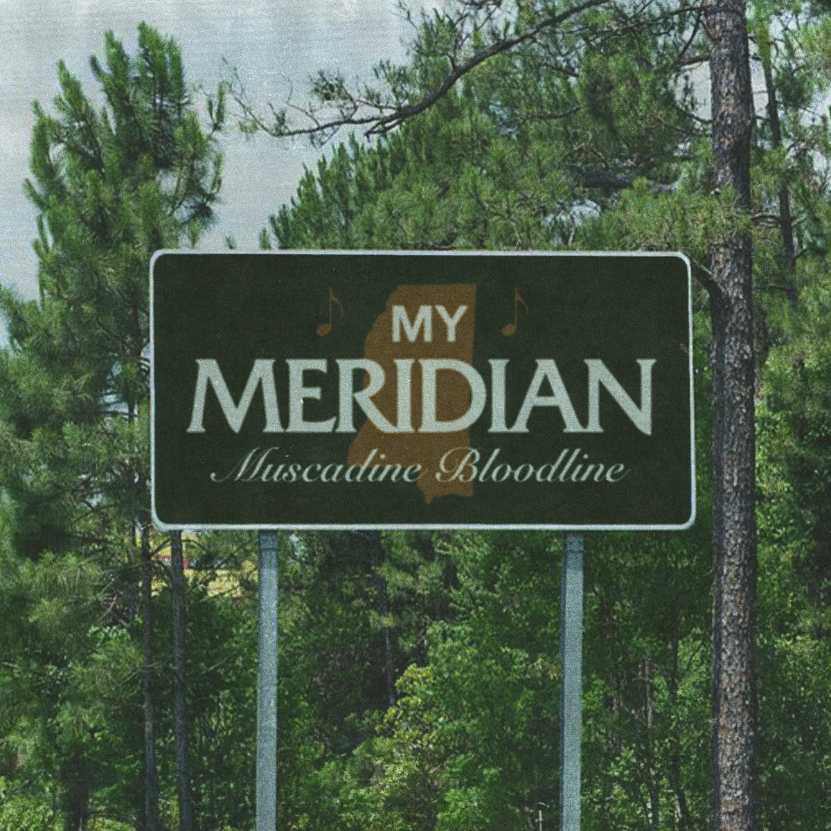 Album cover of My Meridian