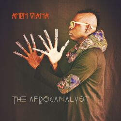 Cover of The Afrocanalyst