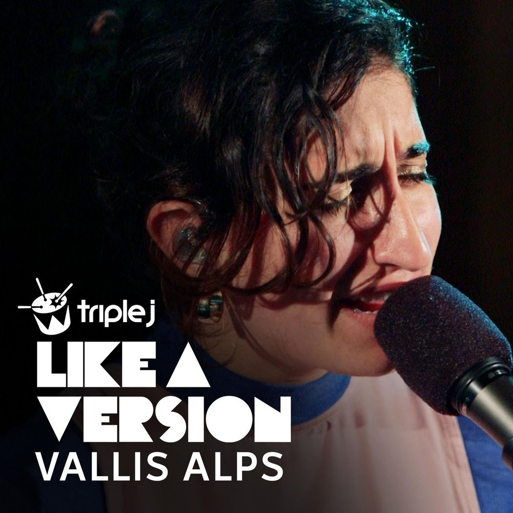 Album artwork for New Slang by Vallis Alps