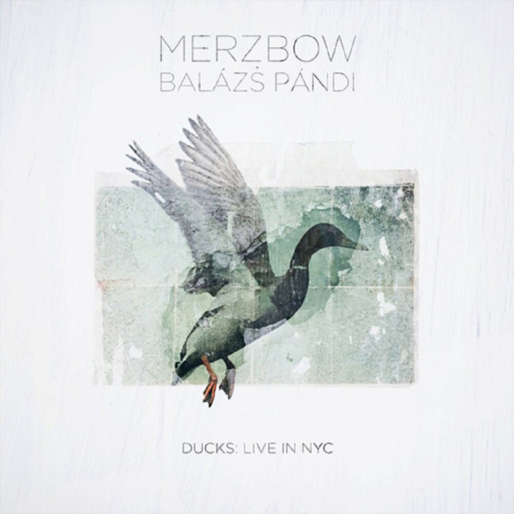 Picture of Ducks : Live in NYC