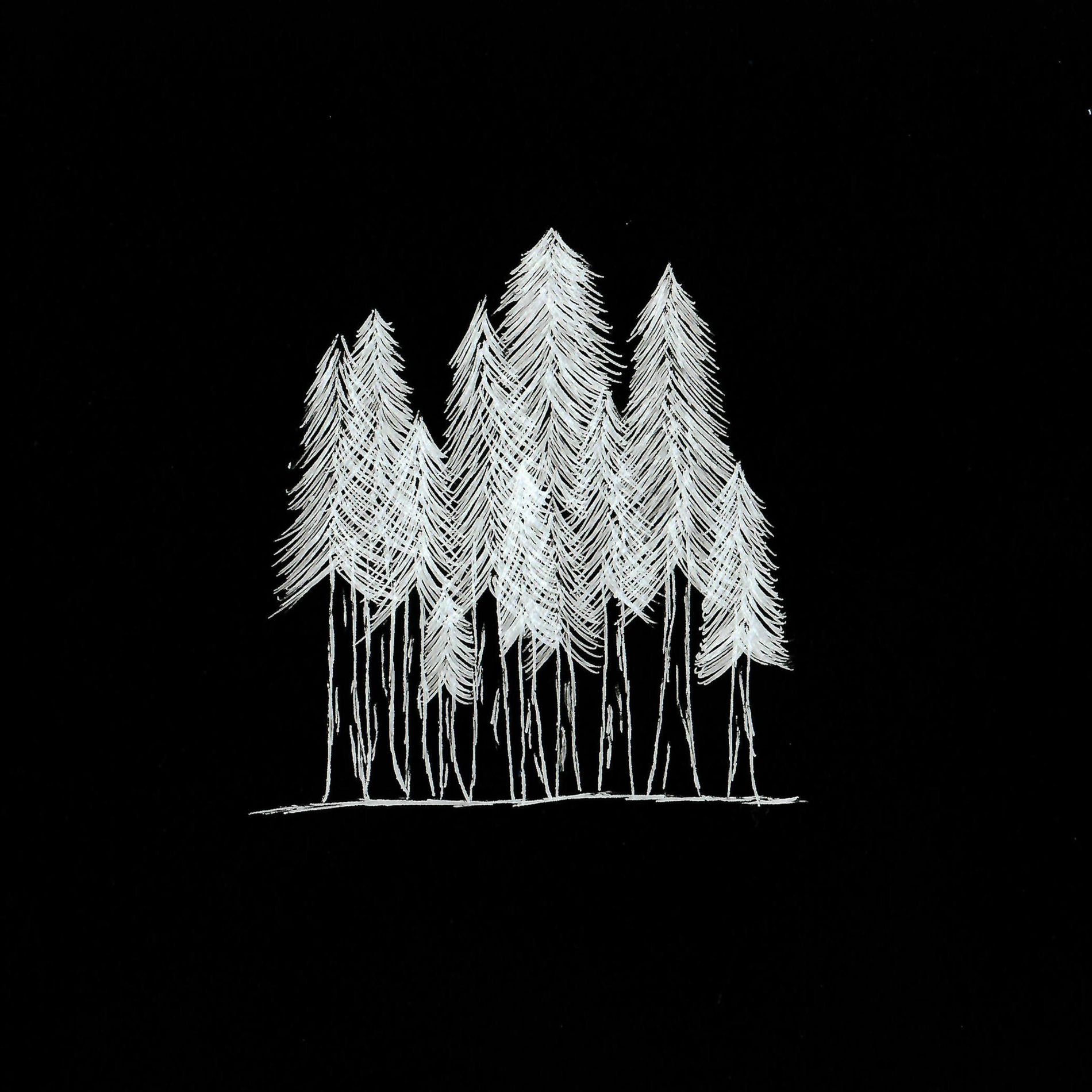 Album cover of woods