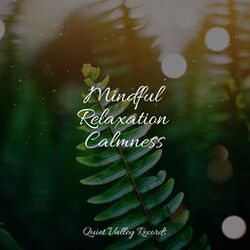 Cover of Mindful Relaxation Calmness