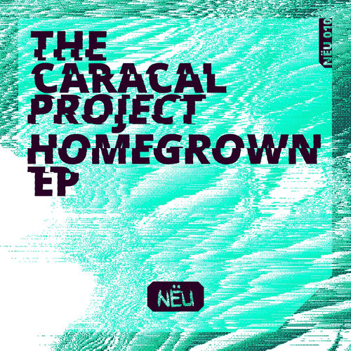 Charmes by The Caracal Project - 173 BPM