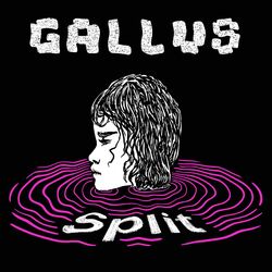 Cover of Split
