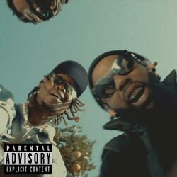 Cover of Vitalize