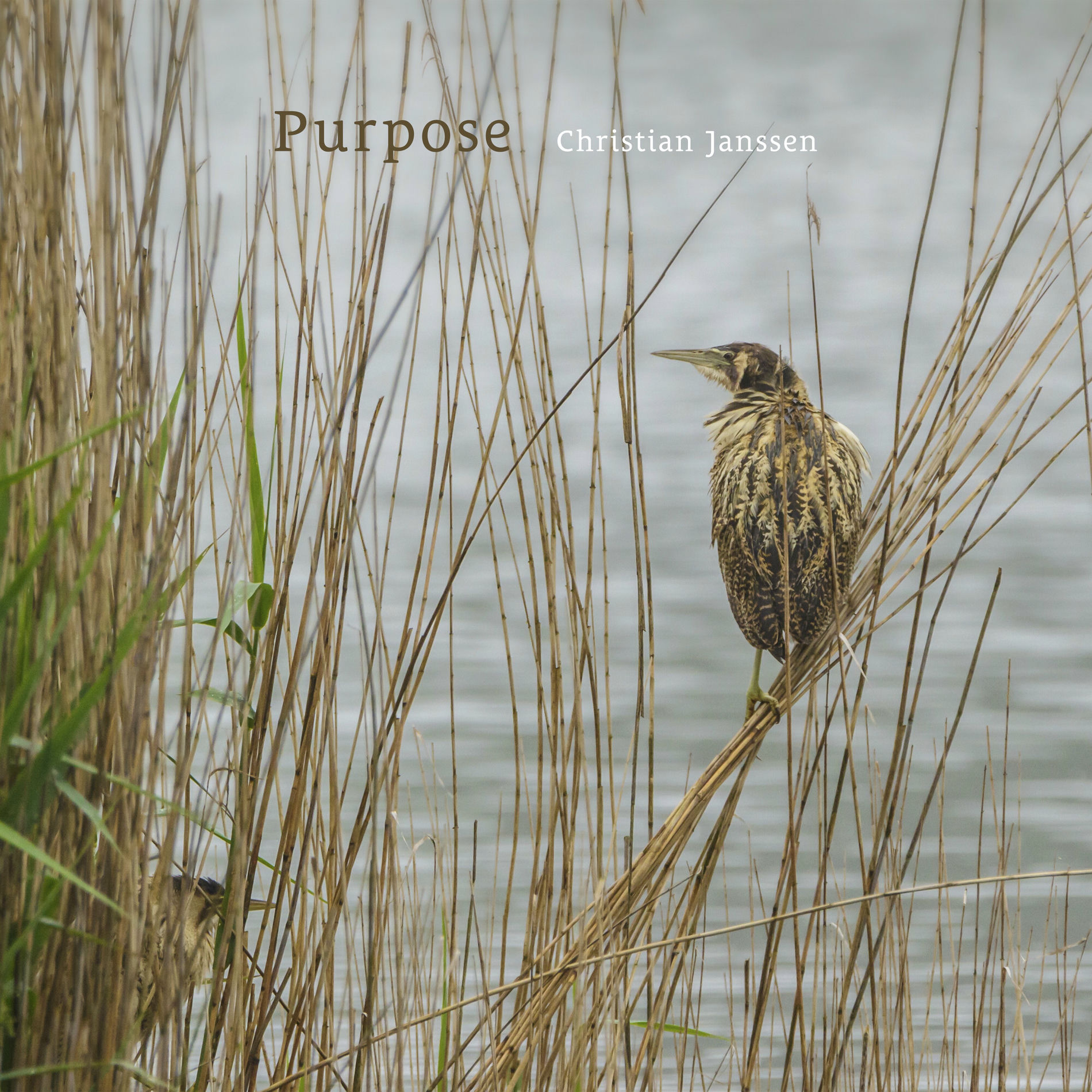 Album cover of Purpose