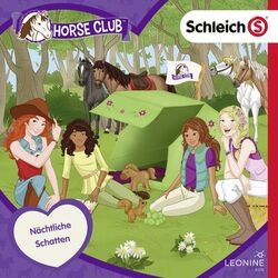 Cover of Folge 16: Nächtliche Schatten