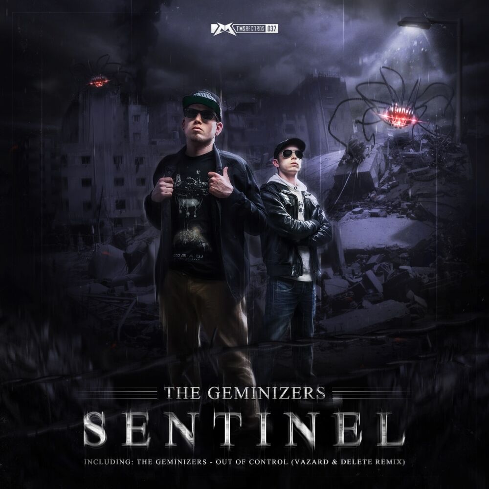 Picture of Sentinel