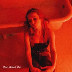 Cover of I Feel