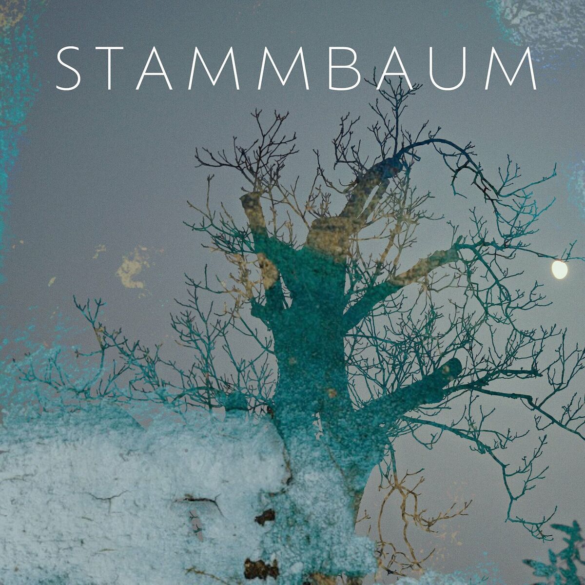 Album cover of Stammbaum
