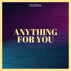 Cover of Anything For You