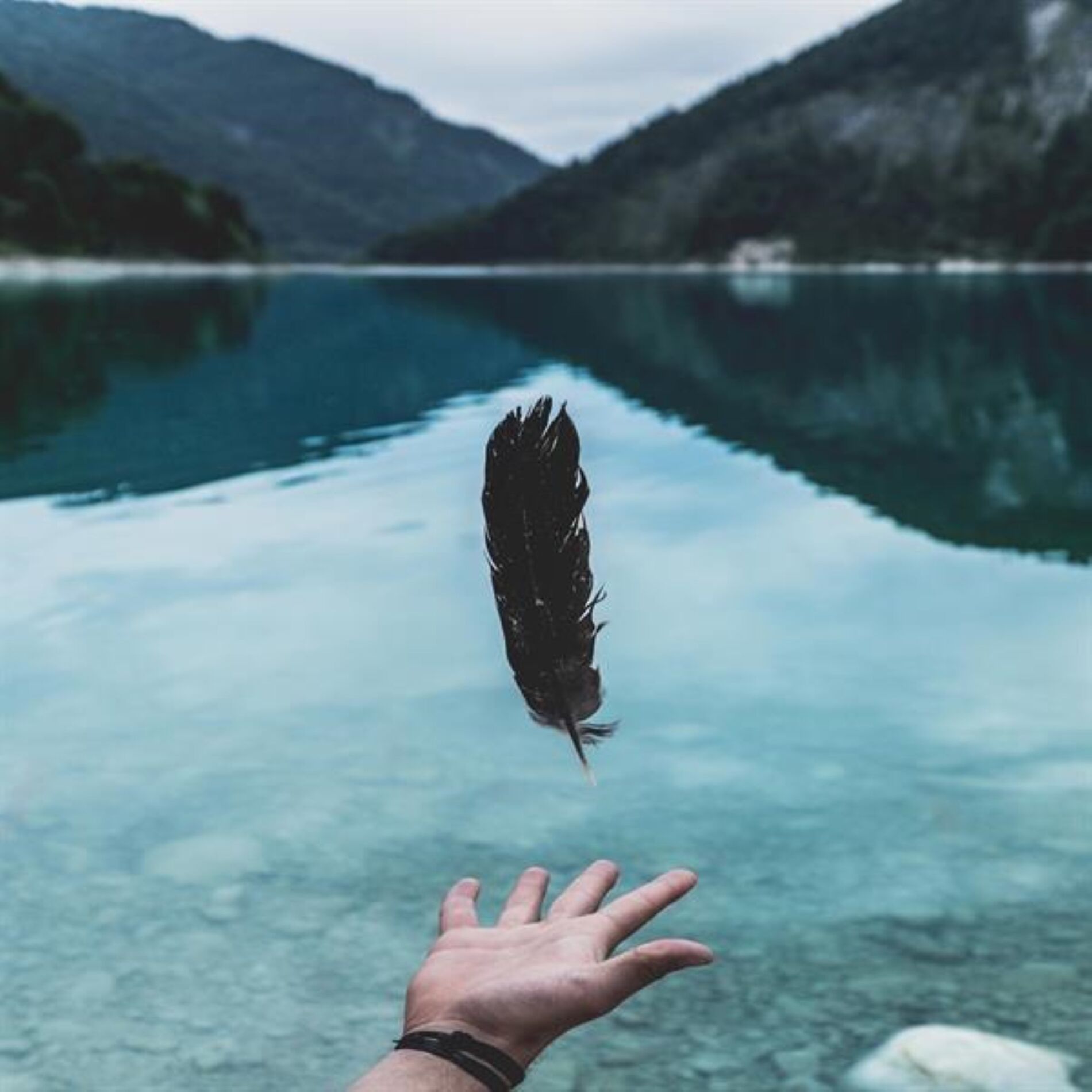Album cover of Let Go