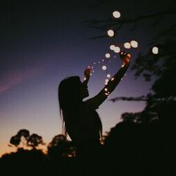 Cover of Lights in the Sky