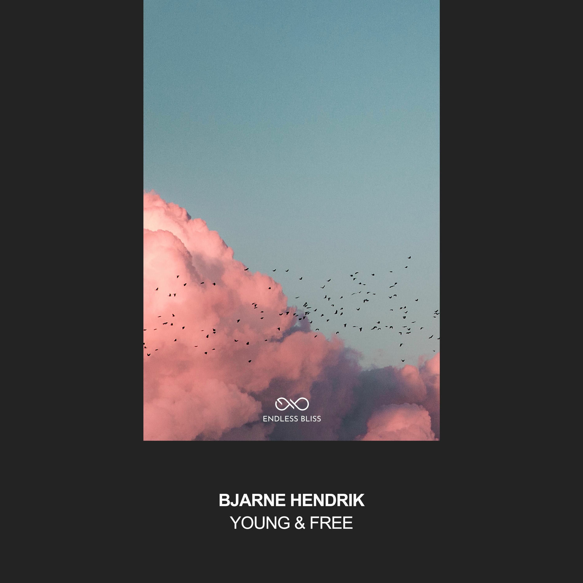 Album cover of Young & Free