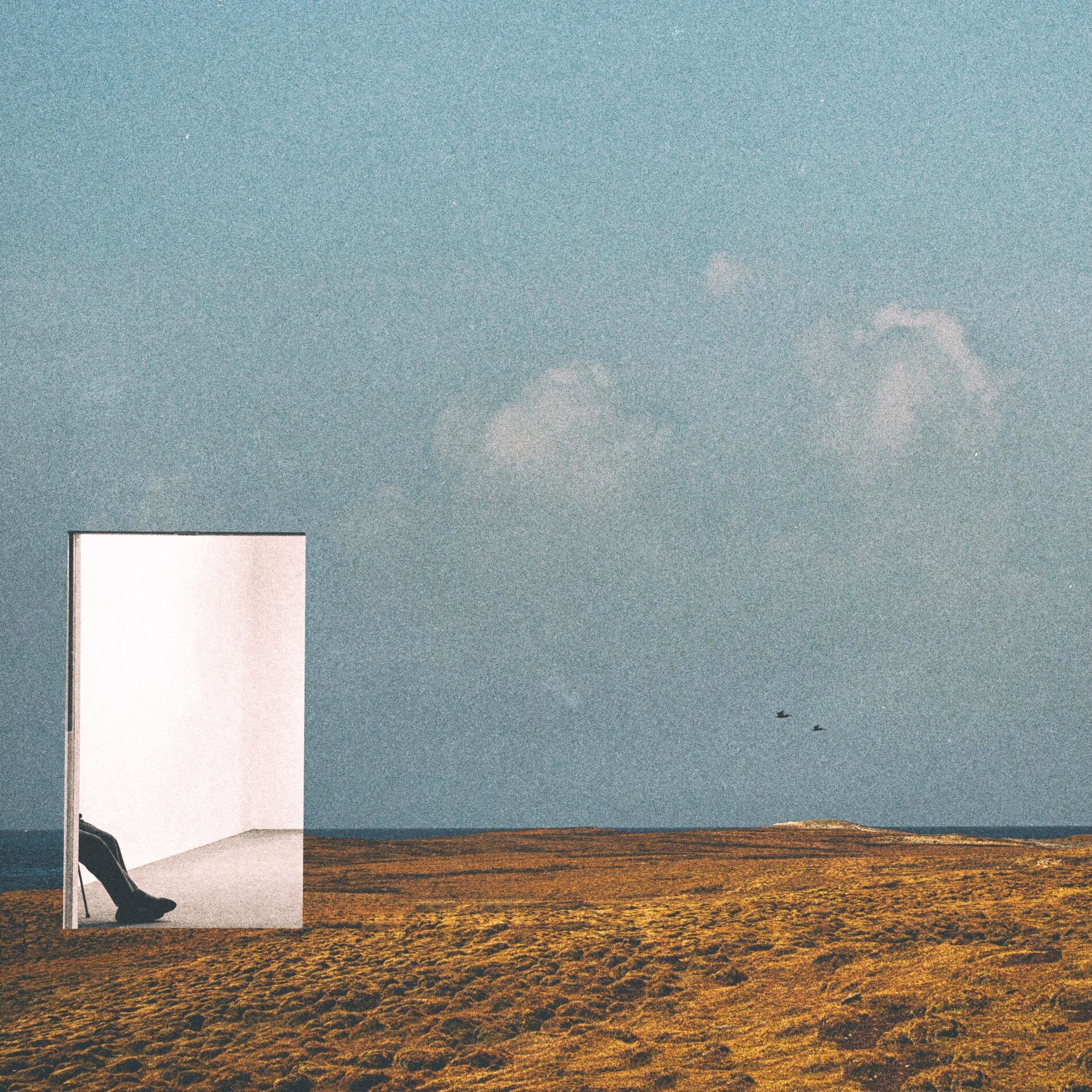 Album cover of Agree to Disagree