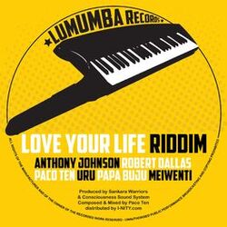 Cover of Love Your Life Riddim