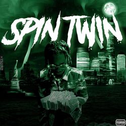 Cover of Spin Twin