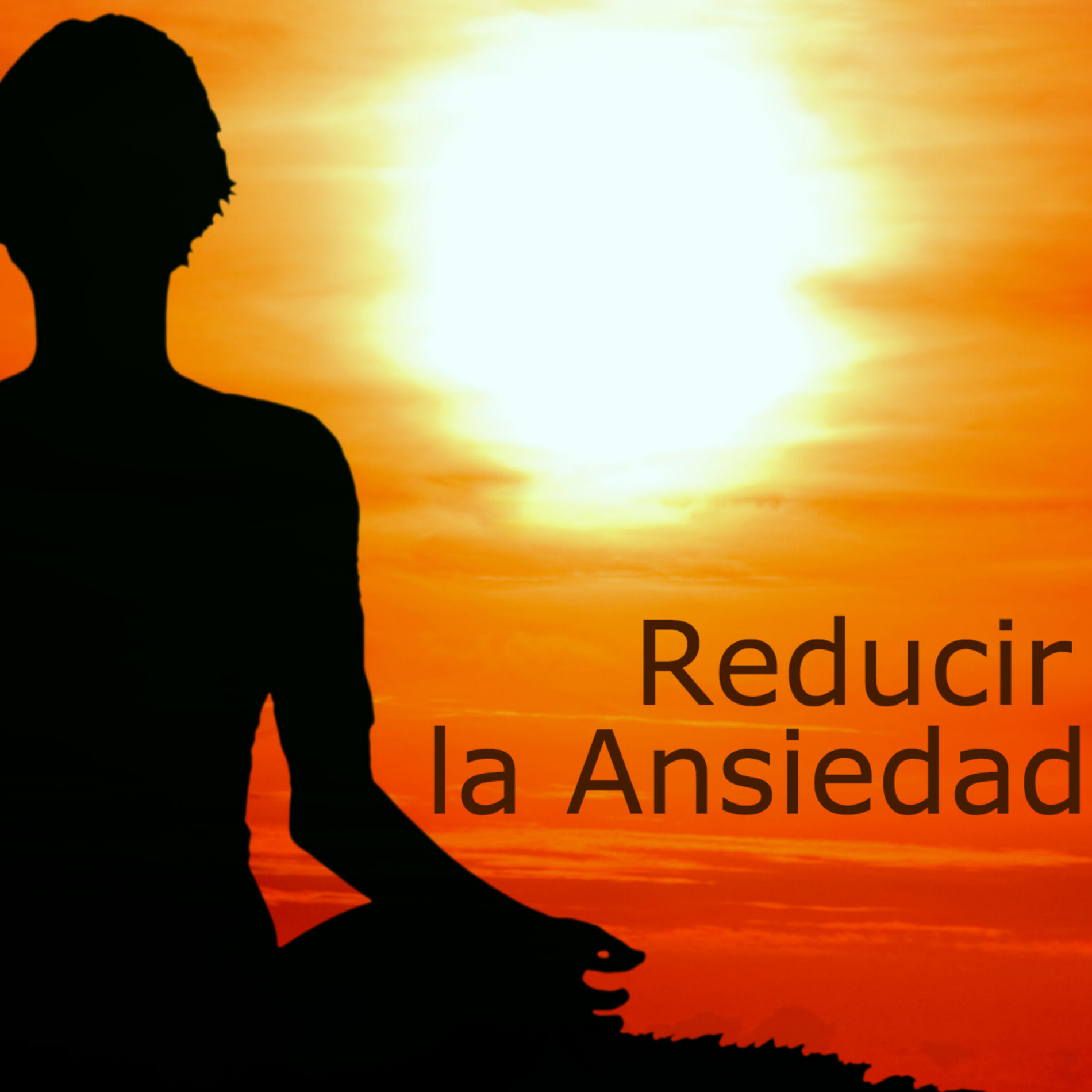 Album cover of Reducir la Ansiedad - Canciones para Buscar la Paz Interior, Sanar el Alma y el Cuerpo