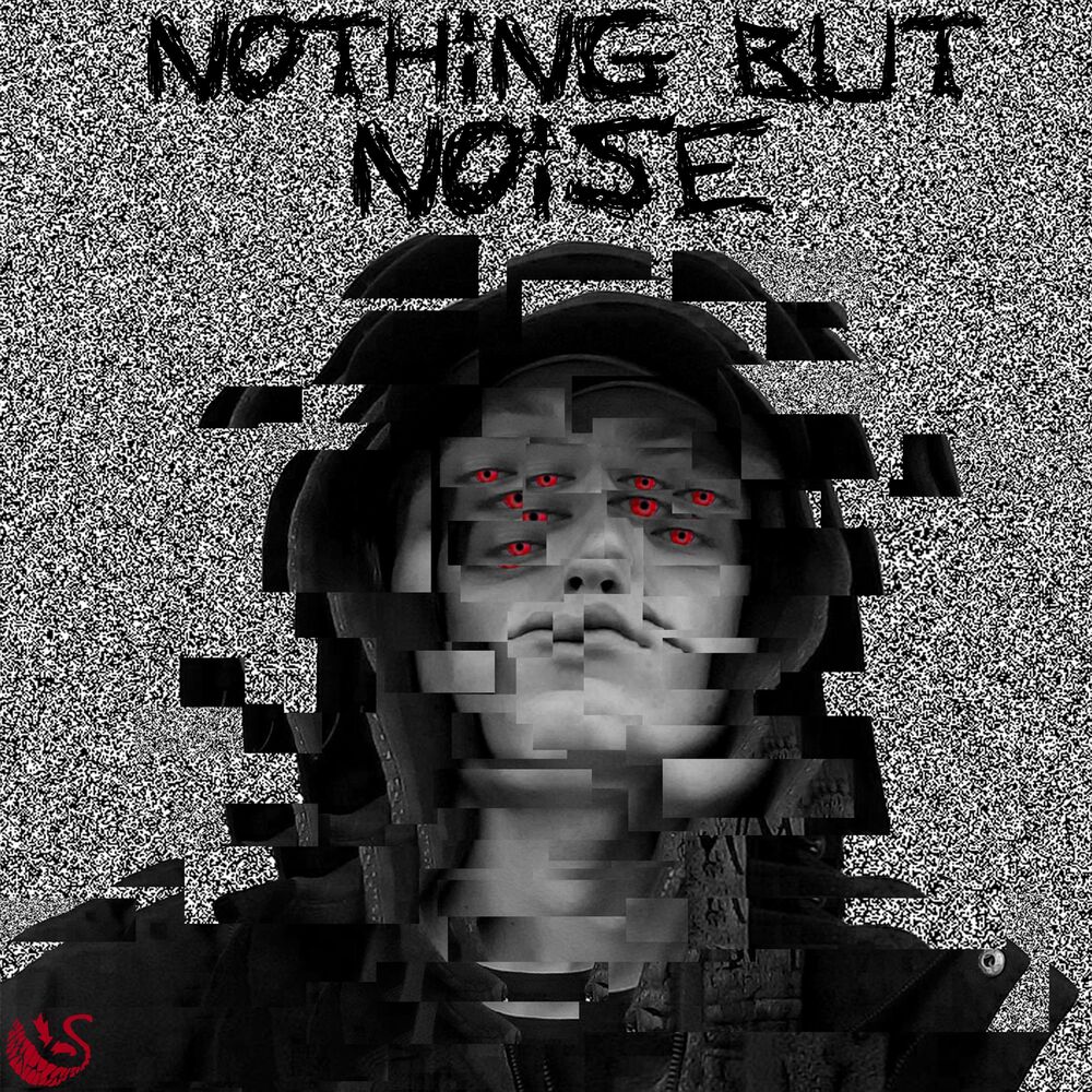 Picture of Nothing but noise