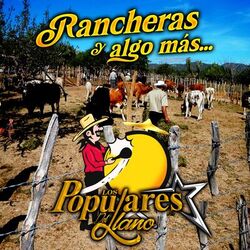 Cover of RANCHERAS Y ALGO MAS...