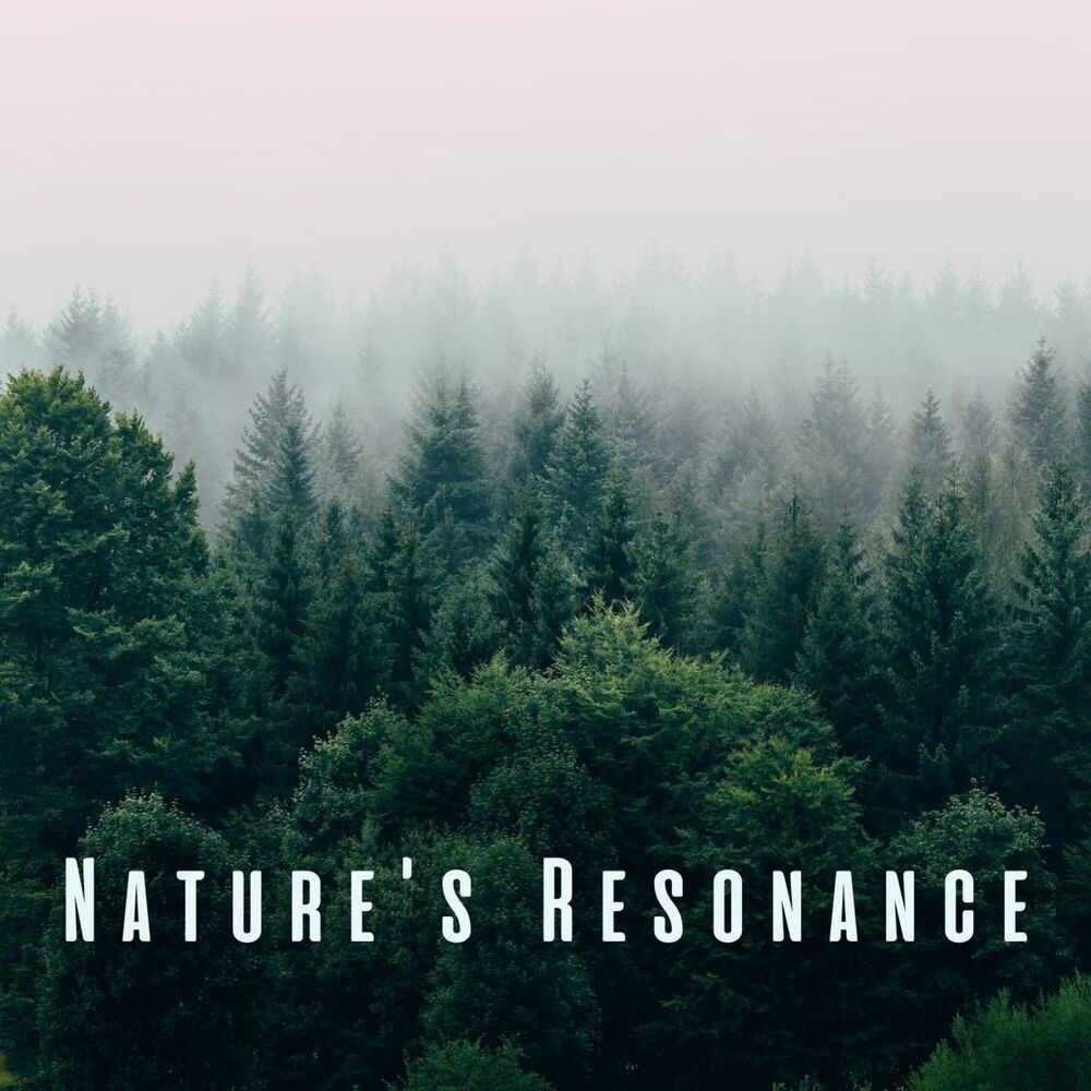 Picture of Nature's Resonance: Binaural Sounds for Concentrated Presence