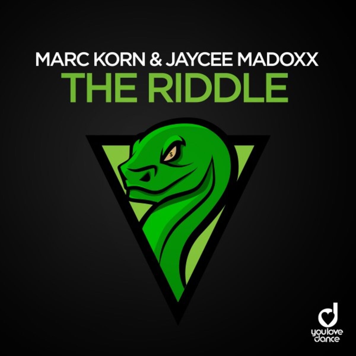 Album cover of The Riddle