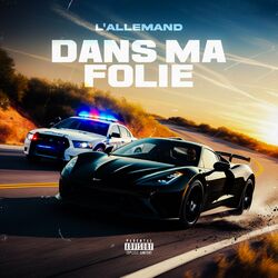 Cover of DANS MA FOLIE