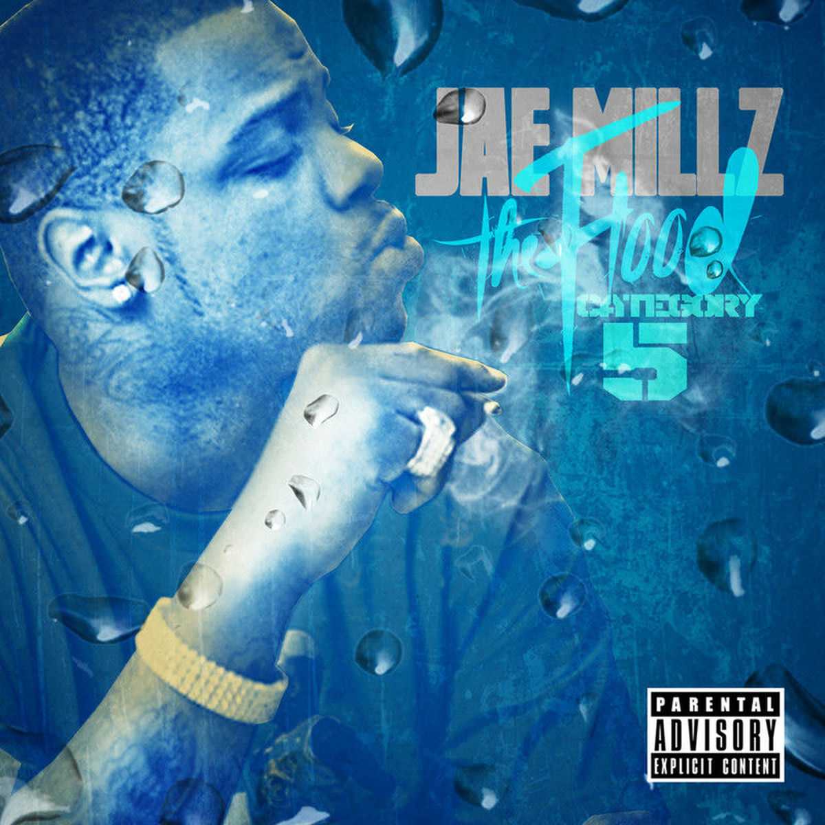 Album cover of The Flood: Category 5