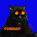 Restiamo vicini