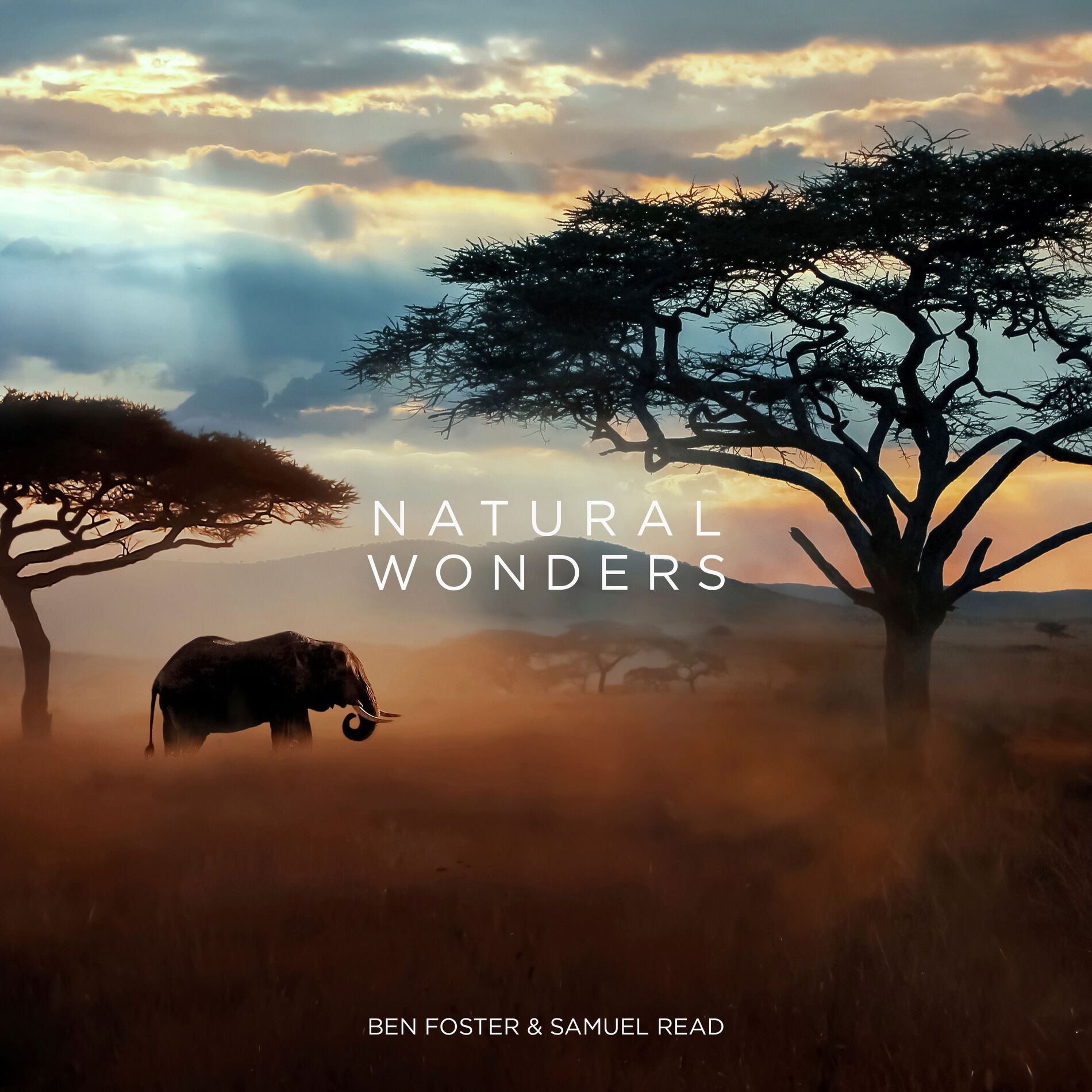 Album cover of Natural Wonders