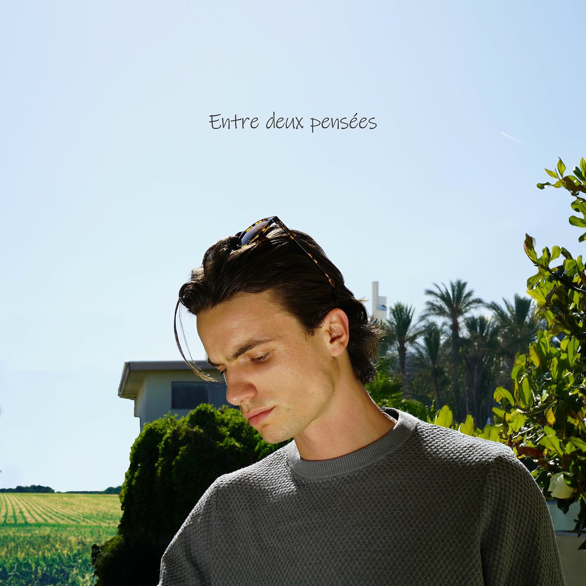 Album cover of Entre deux pensées