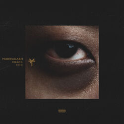 Cover of Crack (TY1 Remix)