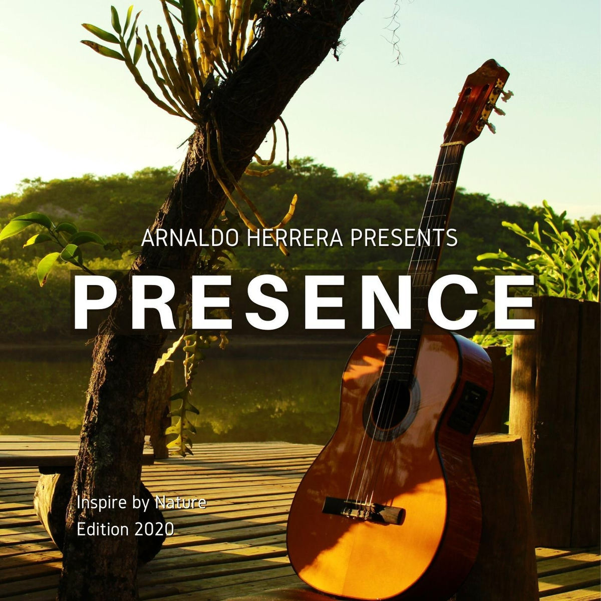 Album cover of Presence