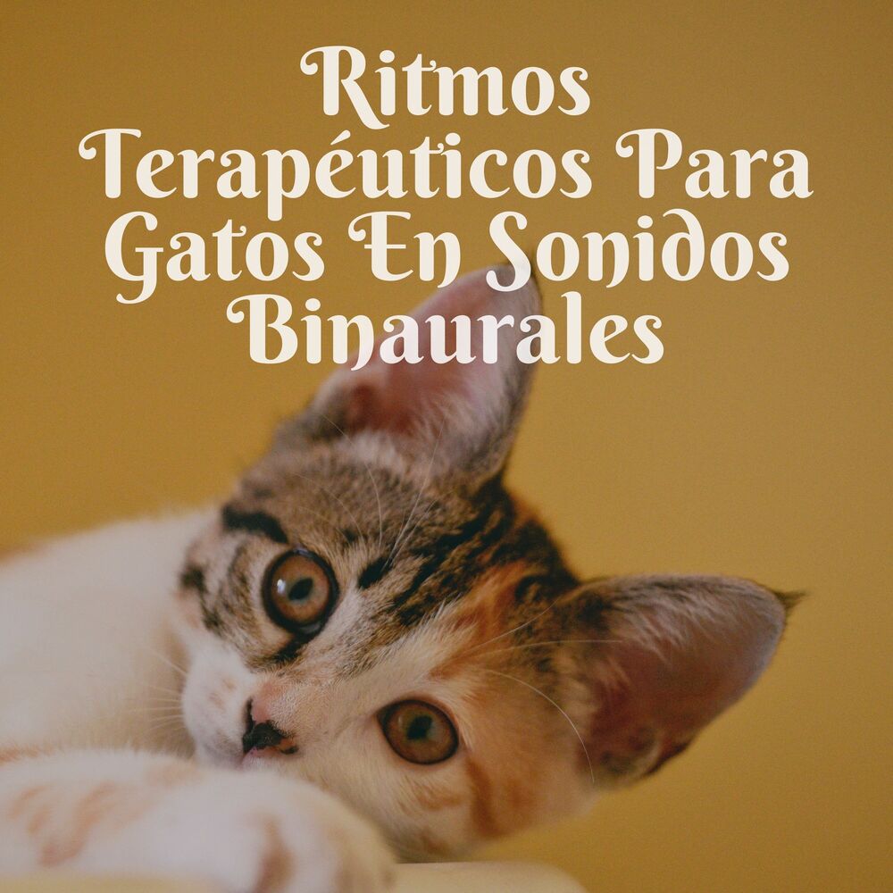 Picture of Ritmos Terapéuticos Para Gatos En Sonidos Binaurales
