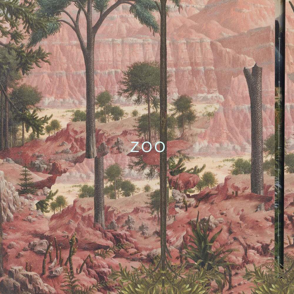 Picture of ZOO