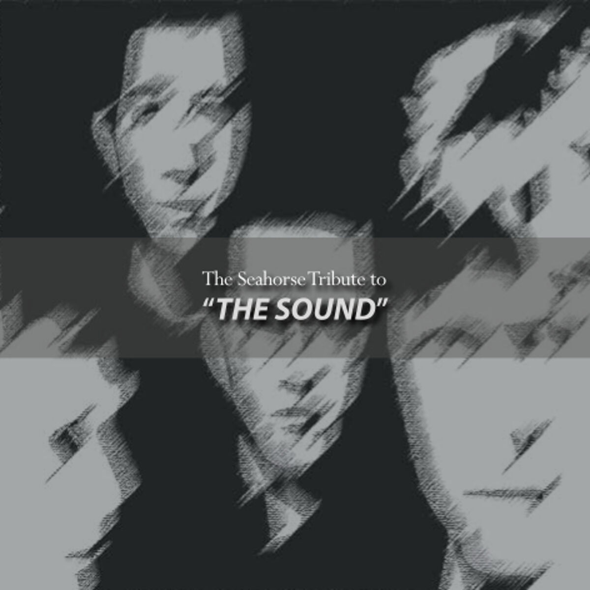 Album cover of Various Artists: The Seahorse Tribute to the Sound