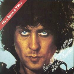 Cover of Zinc Alloy And The Hidden Riders Of Tomorrow