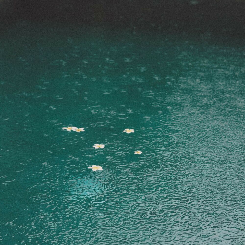 Picture of Gentle Rainfall: Serene Sounds of Soothing Raindrops