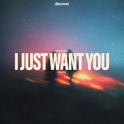 Cover of I Just Want You by undefined